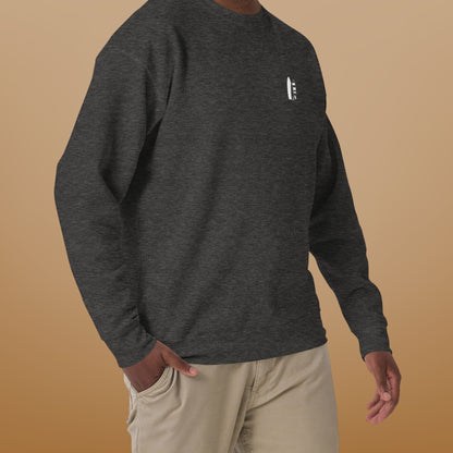 Pull Surf Shop Homme